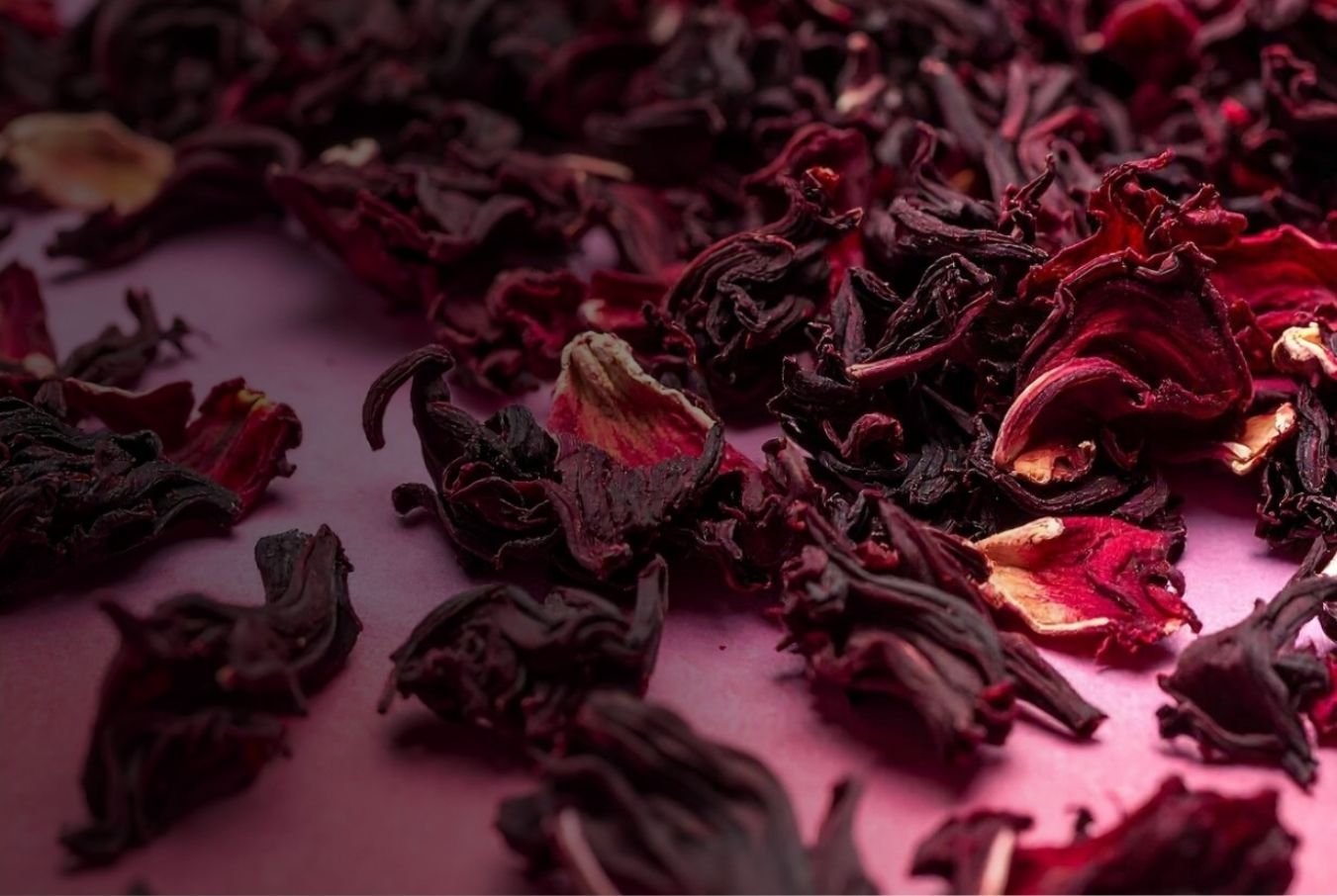 Premium Kenyan Coffee Export